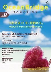 Vol.13