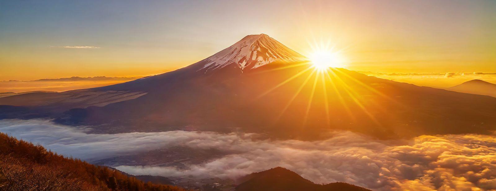 新年のご挨拶