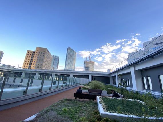 虎の門病院 屋上庭園